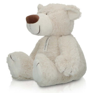Alecto Baby HeeHee Interactive Teddy Bear