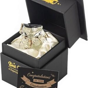 Crystal Glass Owl Graduation Gift Ornament Keepsake in Message Box Graduation Present Novelty Gift