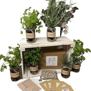 Set of 3: Indoor Herb Garden in Jars Rustic Grow Your Own Kit - Herb Planter and Gifts for Women or Men (Mint, Basil, Coriander)
